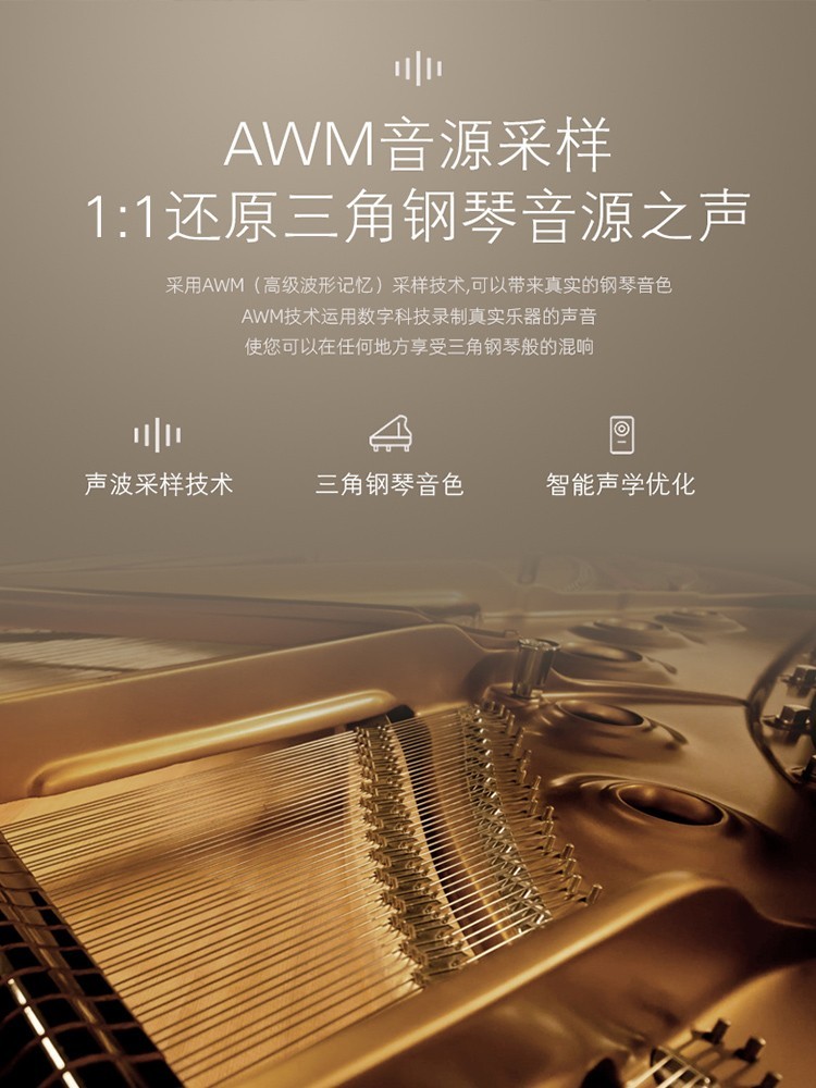Grand Piano 88-Key Weighted Sm - Smart Home Key のレビューと価格