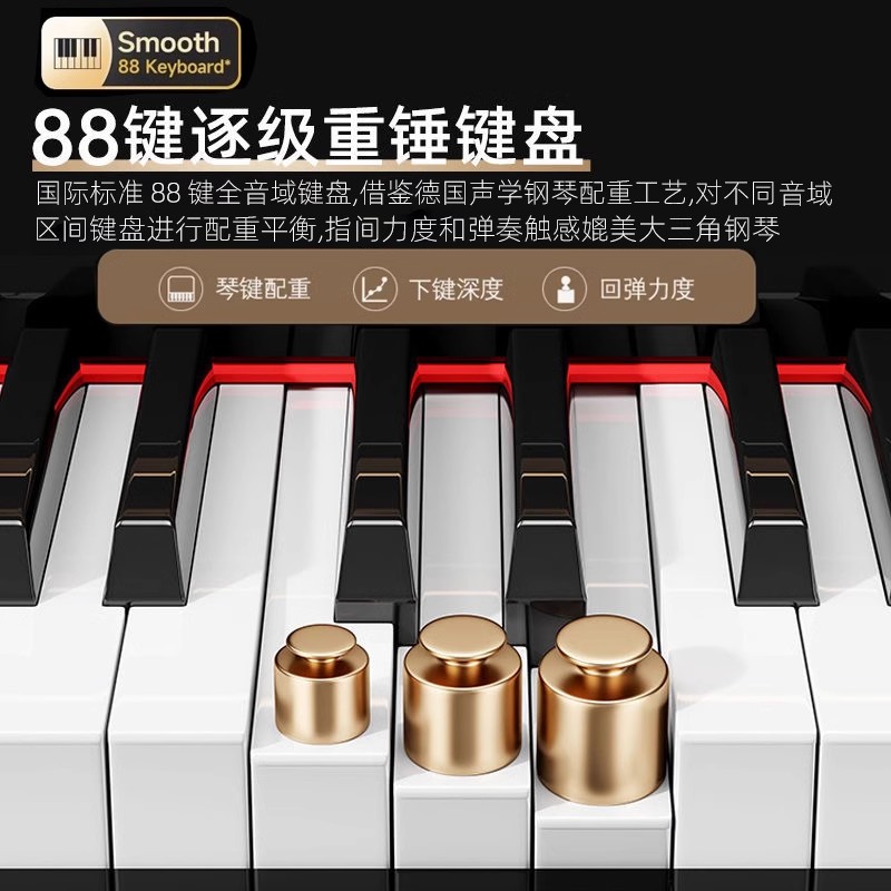 Grand Piano 88-Key Weighted Sm - Smart Home Key のレビューと価格