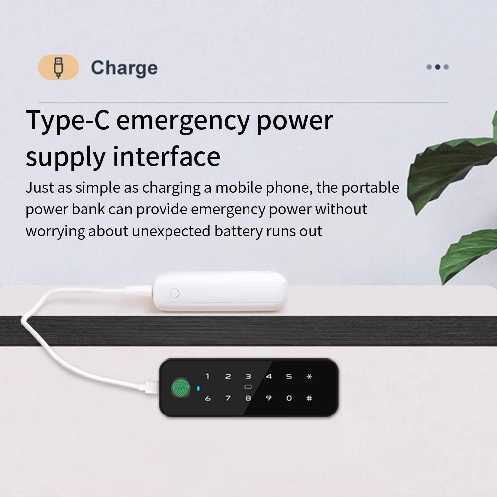 Tuya Bluetooth Smart Wood Cabi - Smart Home Key のレビューと価格