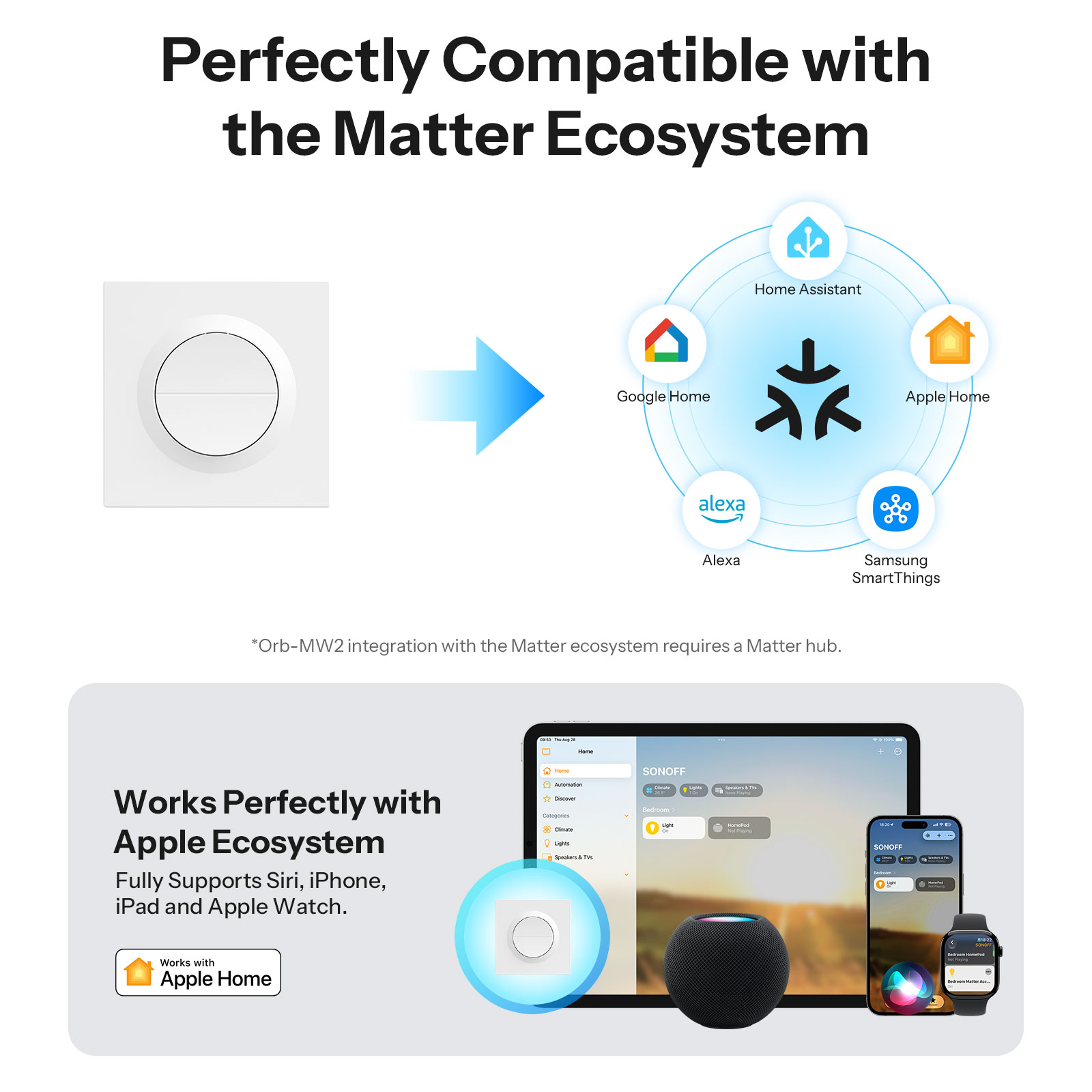 SONOFF MINI-2GS-E Matter Over  - Smart Home Apple のレビューと価格
