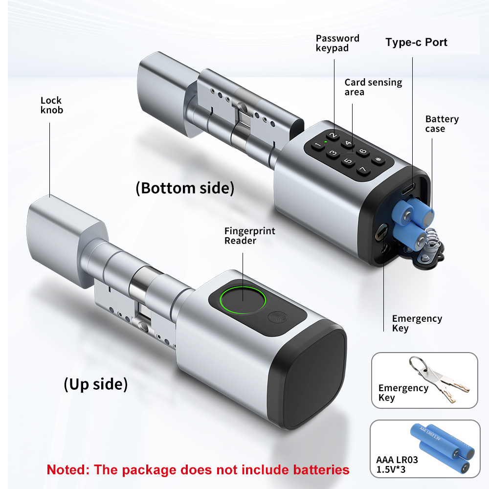 RAYKUBE V1 Tuya BLE TT Lock Sm - Smart Home Keyestudio のレビューと価格