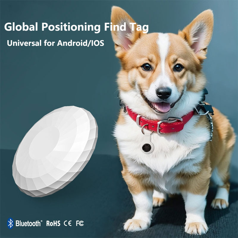 Smart Tag Really Global Positi - Smart Home Apple のレビューと価格